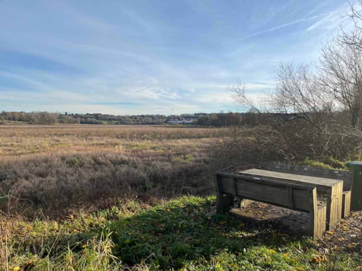 2023 11 22 Pottum 01