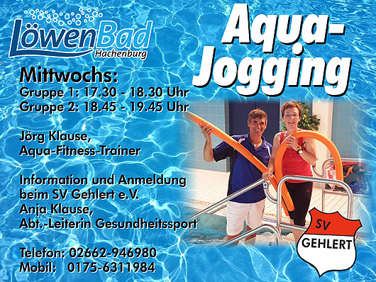 Flyer Aqua17