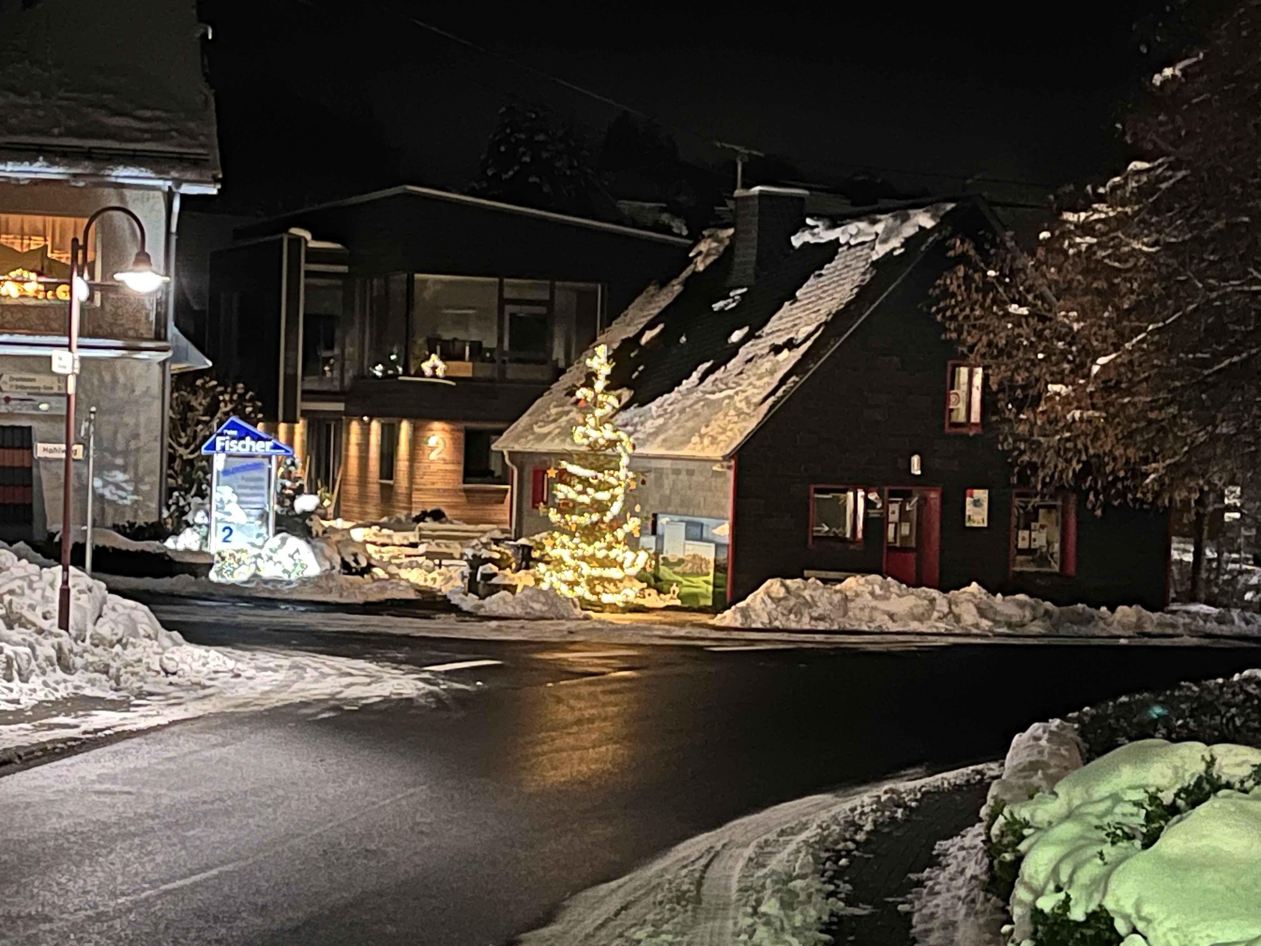 Weihnachtsbaum 2